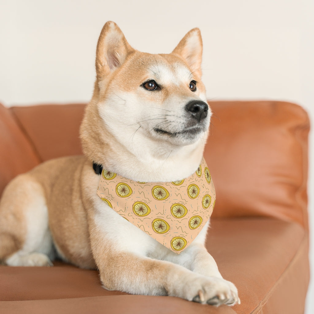 Lemon Squeeze Pet Bandana Collar & T-Shirt Set