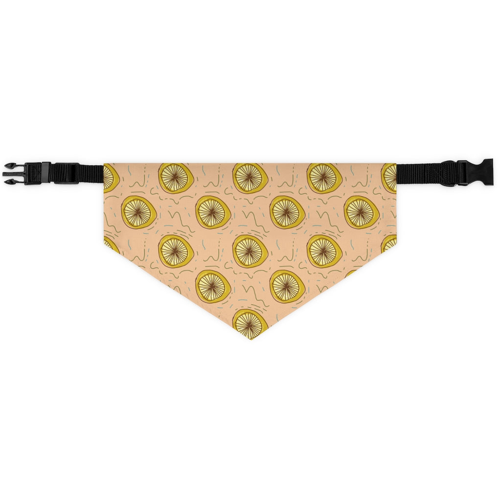 Lemon Squeeze Pet Bandana Collar & T-Shirt Set