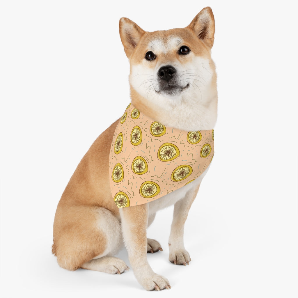 Lemon Squeeze Pet Bandana Collar & T-Shirt Set