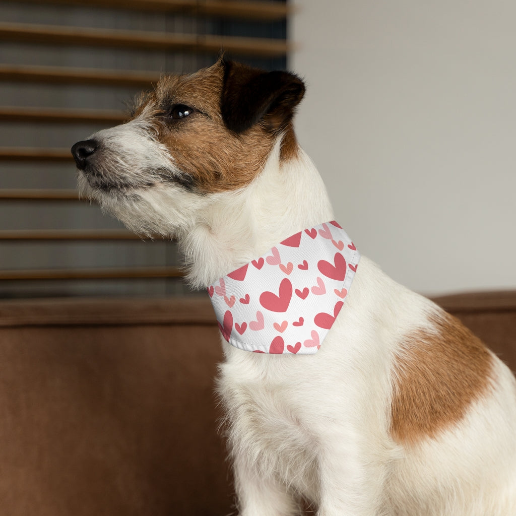 Best Dog Mom Pet Bandana Collar & T-Shirt Set