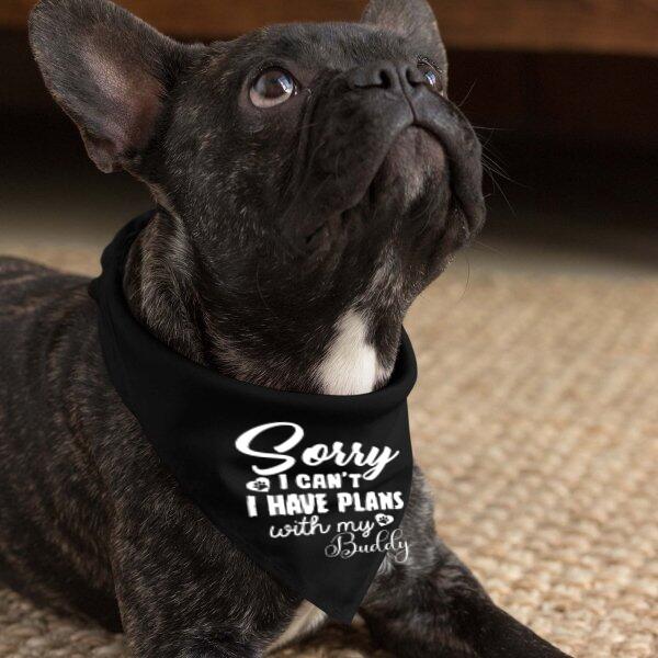 Sorry I Can't I Have Plans With Personalized Name T-Shirt