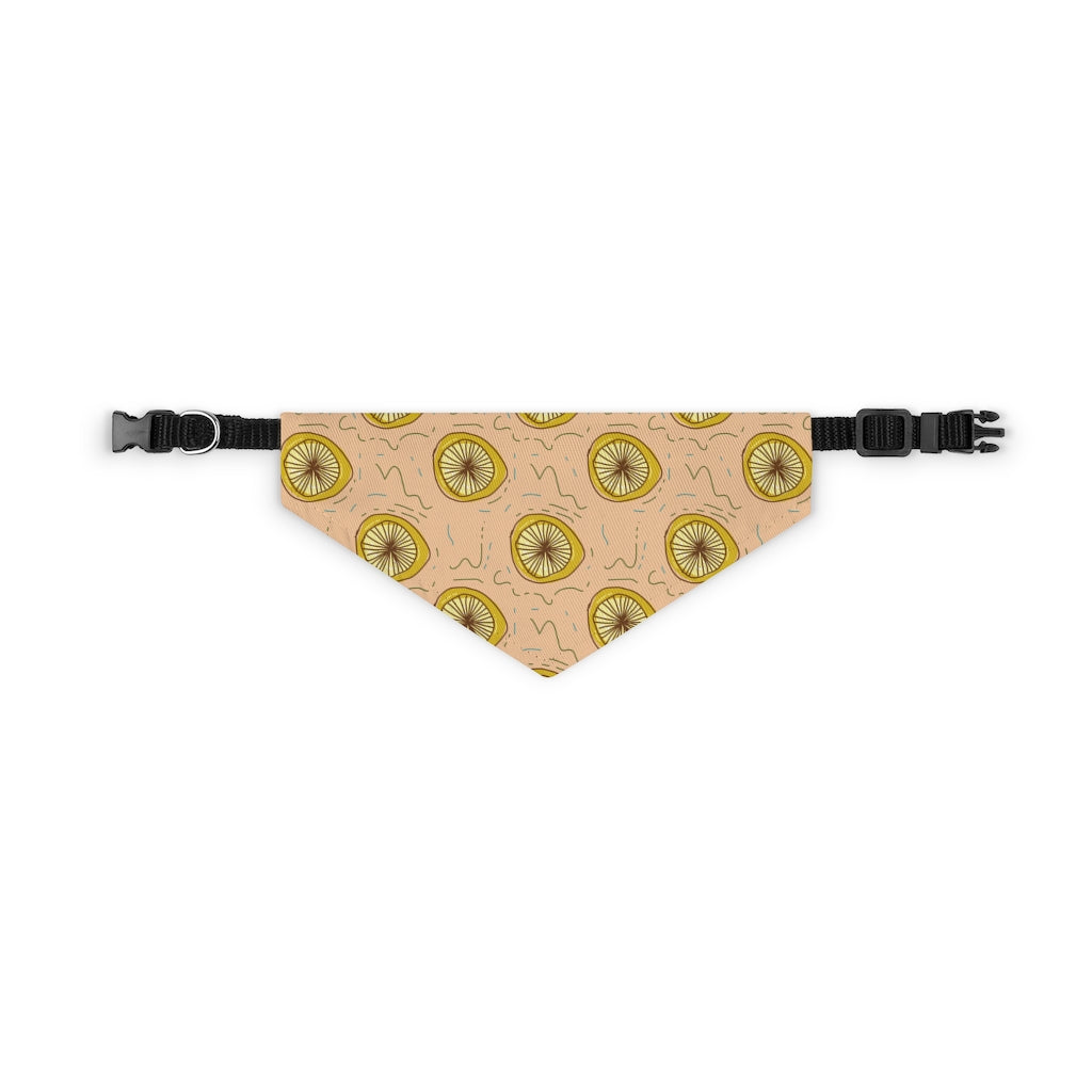 Lemon Squeeze Pet Bandana Collar & T-Shirt Set