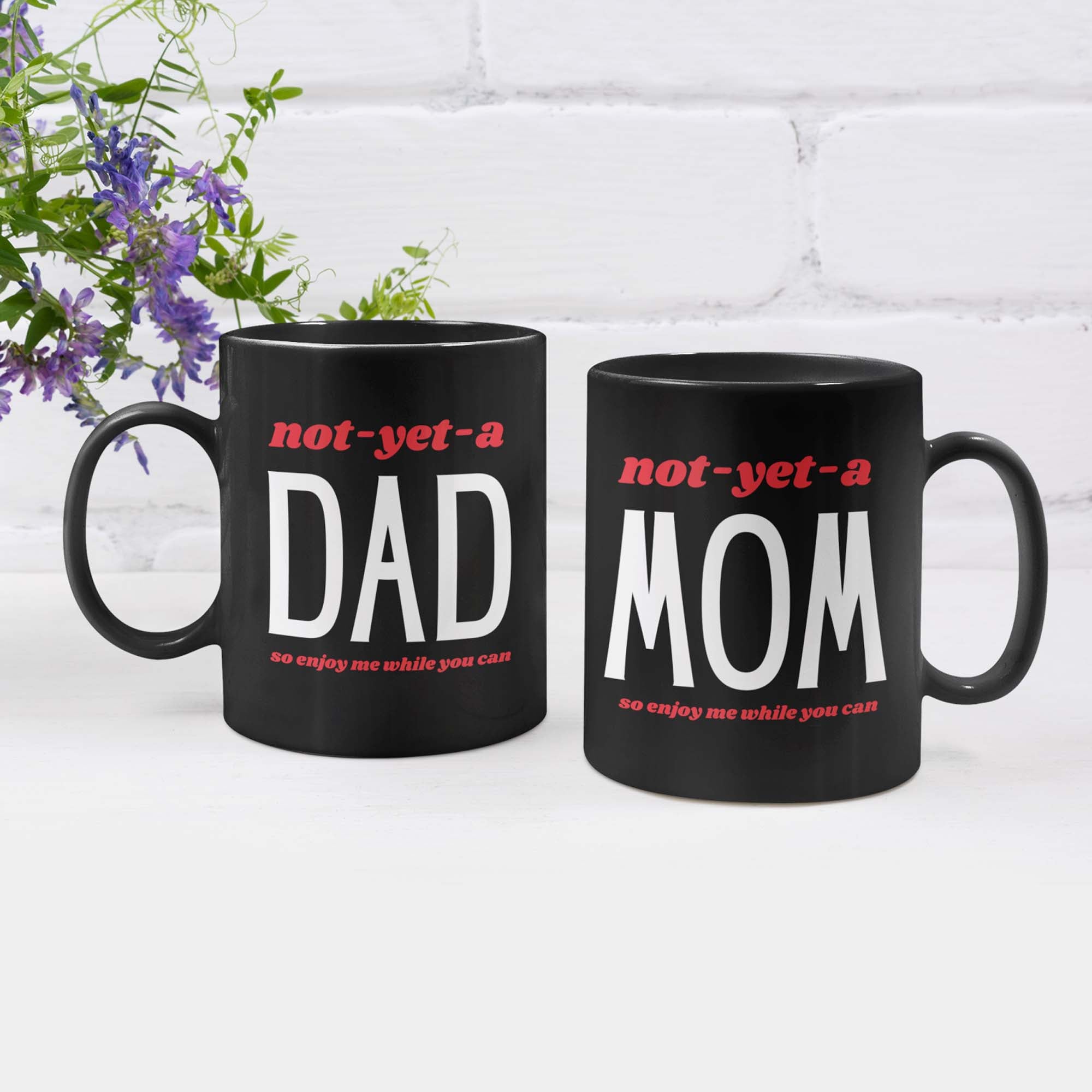 Enjoy Me While You Can Funny Mug Set