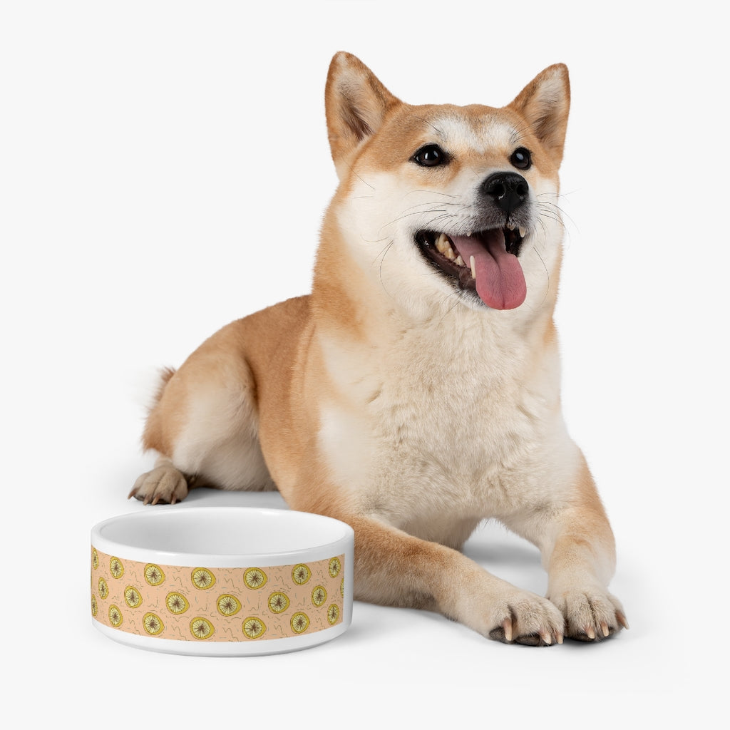 Lemon Squeeze Pet Bowl & Matching Mug