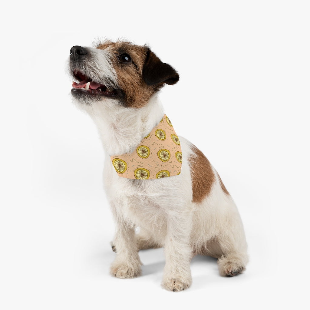 Lemon Squeeze Pet Bandana Collar & T-Shirt Set