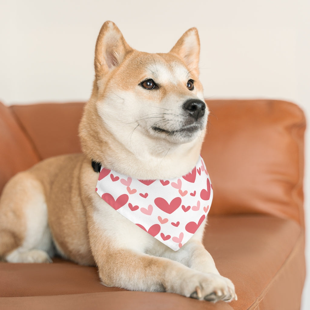 Best Dog Mom Pet Bandana Collar & T-Shirt Set