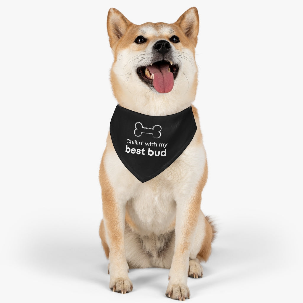Chillin' With My Best Bud Pet Bandana Collar & T-Shirt Set Secondary image