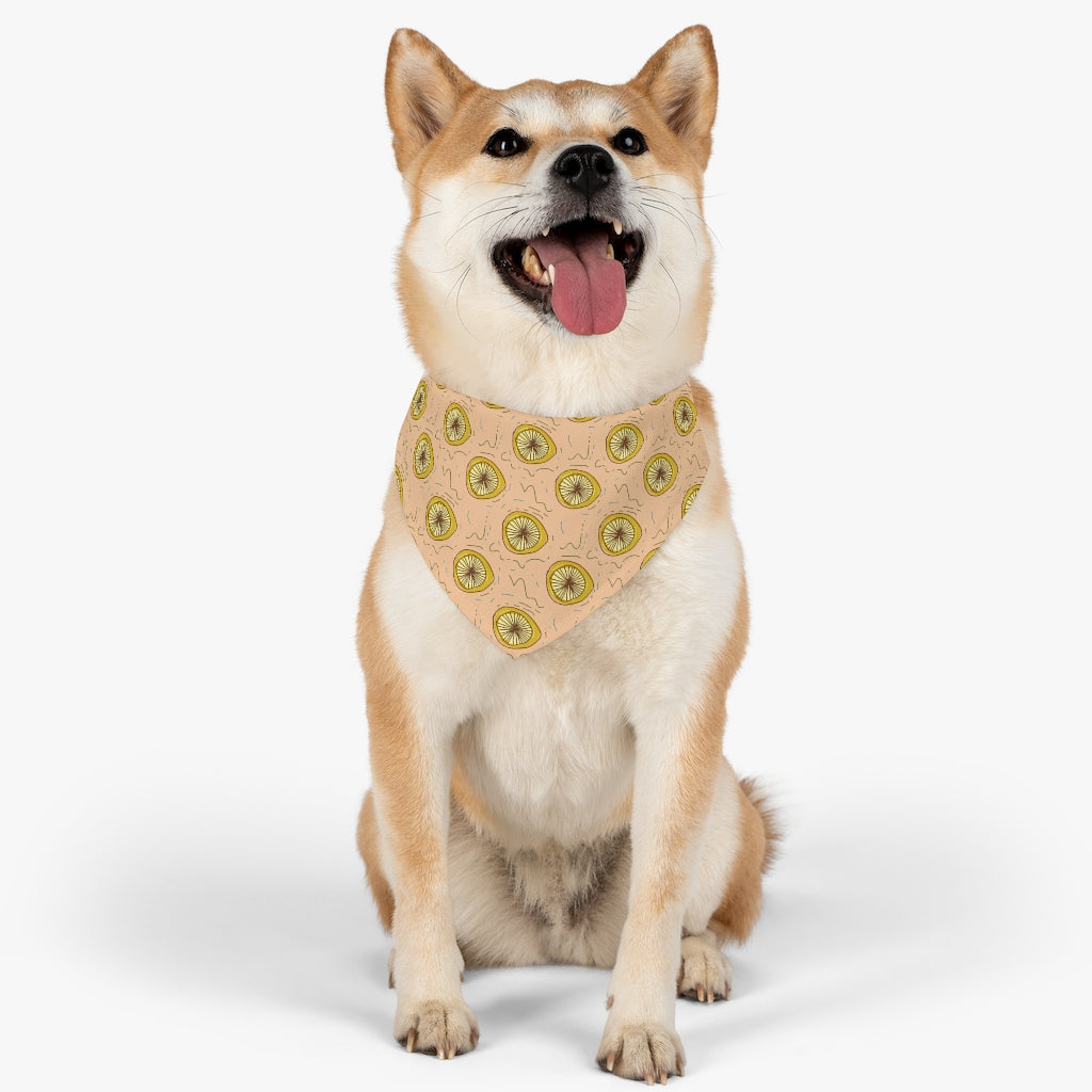 Lemon Squeeze Pet Bandana Collar & T-Shirt Set