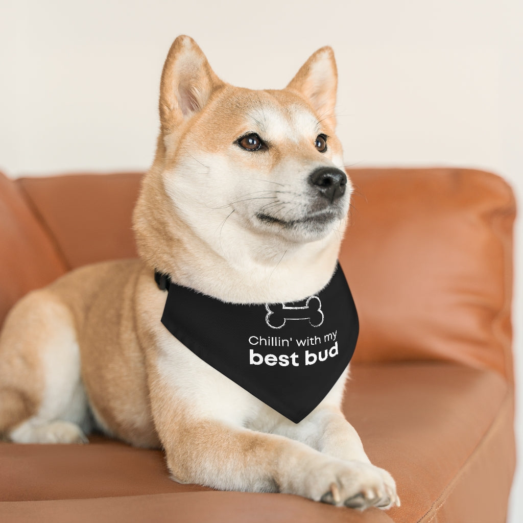Chillin' With My Best Bud Pet Bandana Collar & T-Shirt Set
