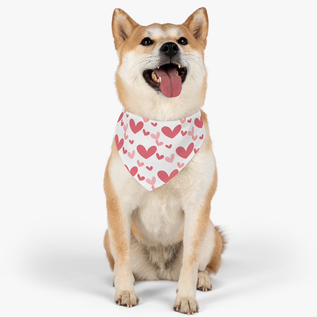 Best Dog Mom Pet Bandana Collar & T-Shirt Set