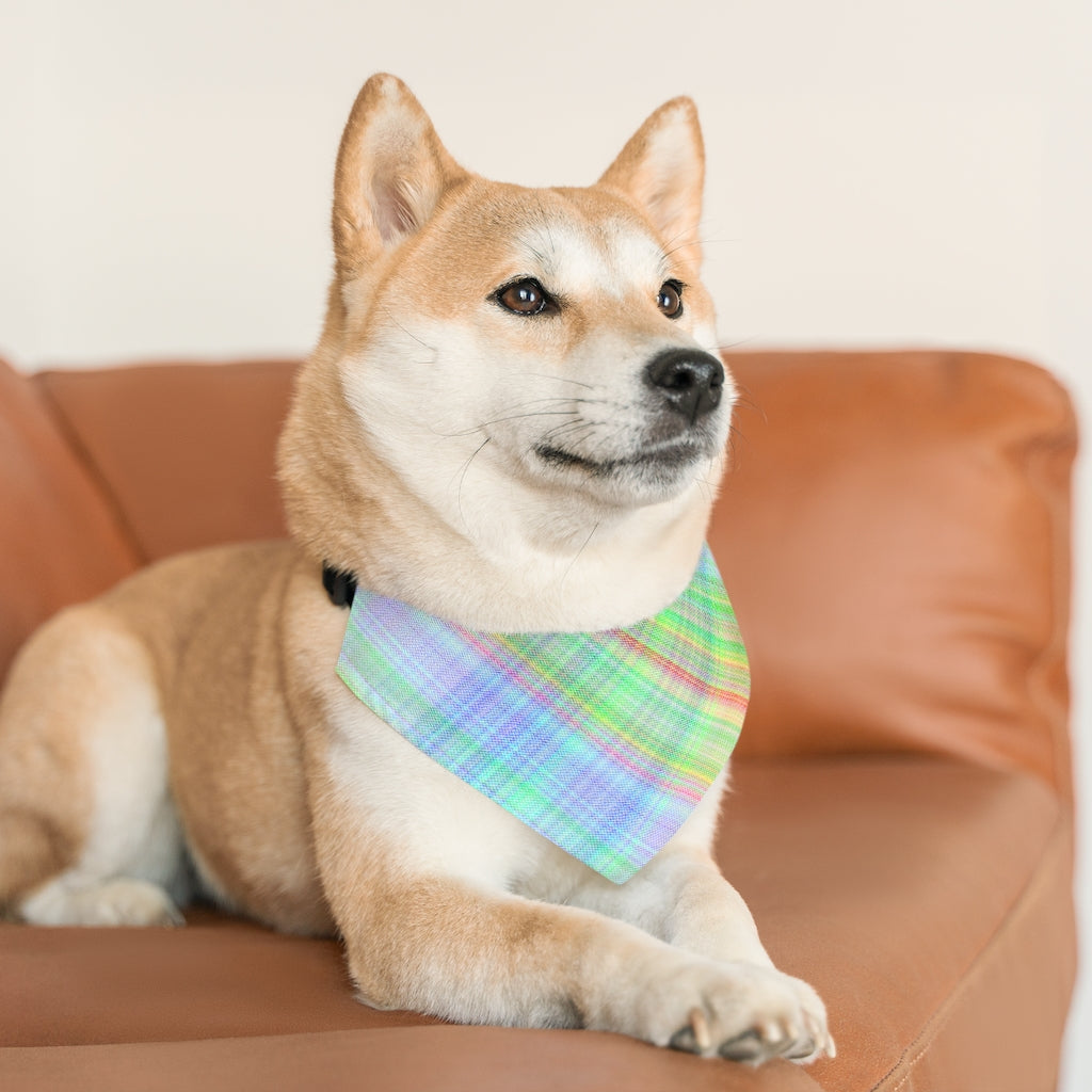 Bright Plaid Pet Bandana Collar & T-Shirt Set