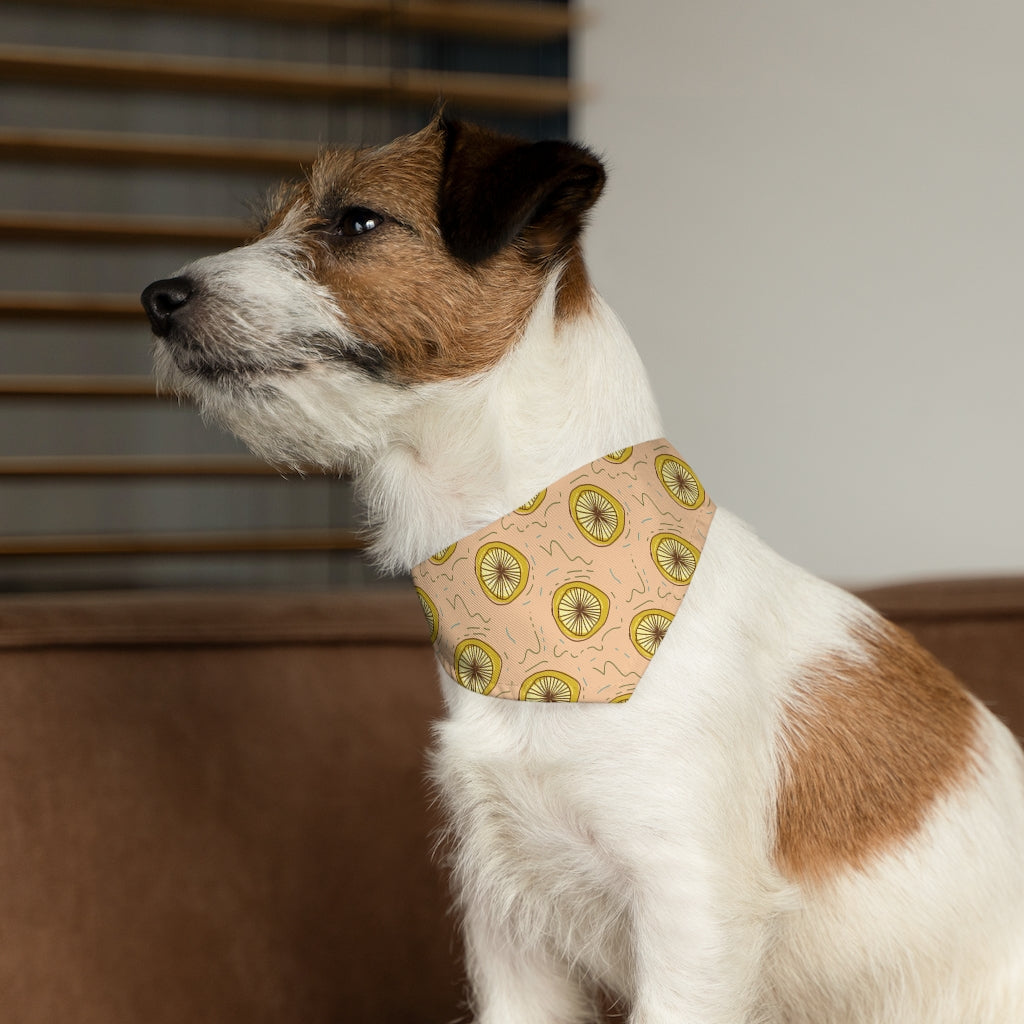 Lemon Squeeze Pet Bandana Collar & T-Shirt Set