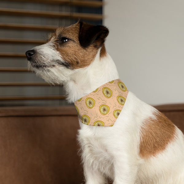 Lemon Squeeze Pet Bandana Collar & T-Shirt Set