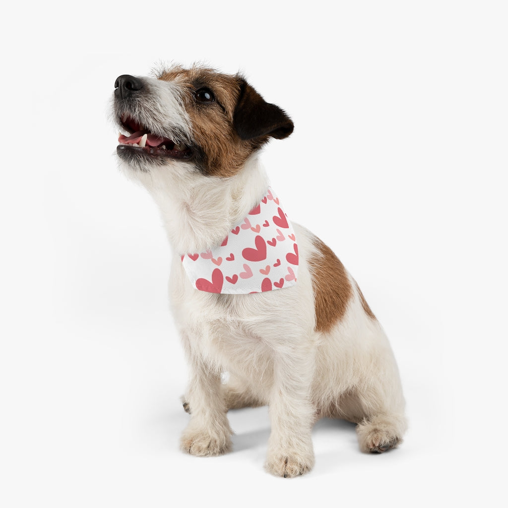 Best Dog Mom Pet Bandana Collar & T-Shirt Set