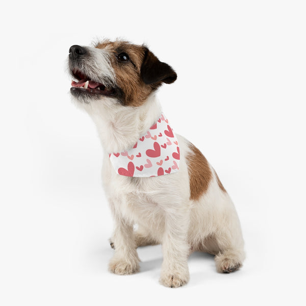Best Dog Mom Pet Bandana Collar & T-Shirt Set
